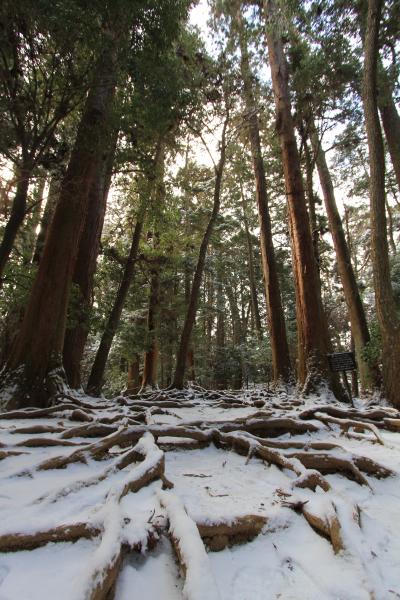 京都　鞍馬から貴船へ