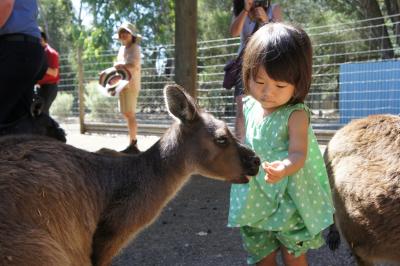 カンガルー島 オーストラリア