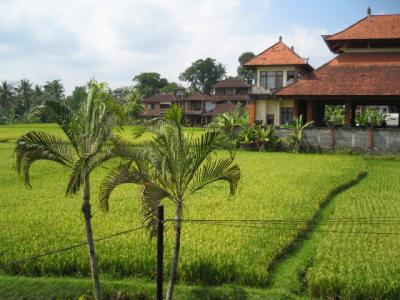 BALI 2007