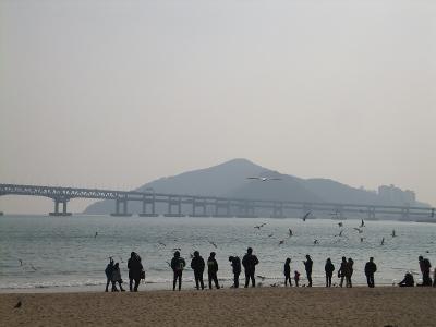 釜山港へ行って帰れ 2012冬 その2