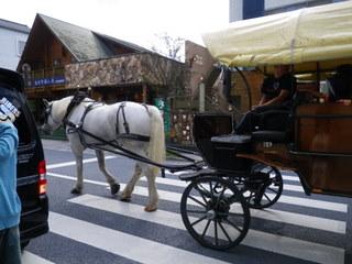 2011夏休み五島～長崎～湯布院の旅-3