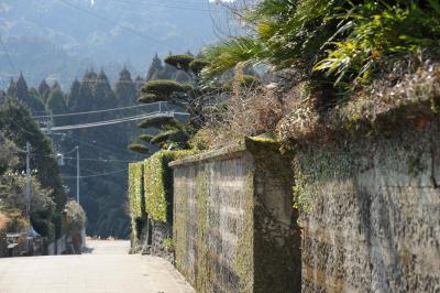 霧島・鹿児島の旅（１）：姶良市　蒲生郷を歩く