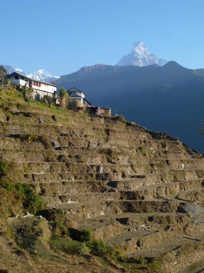 山の暮らし…　冬の旅⑤　～ガンドルンからナヤプル～