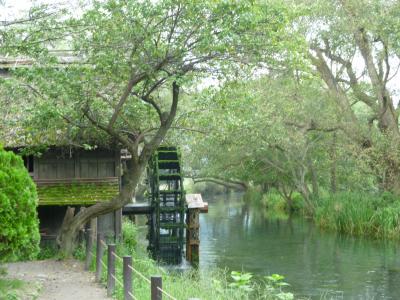 久々の家族旅行は台風１２号とともに信州へ