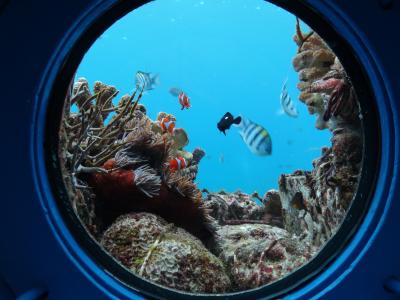 ２０１２・２☆Winter of Okinawa☆Ｖｏｌ．１☆セントレア前泊～ブセナビーチ編