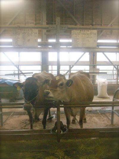 楽しむぞ～九州！　【 福 岡 】　牡蠣小屋から牛乳まで