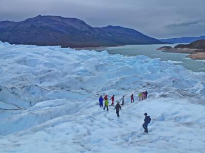 パタゴニア周遊①--カラファテとモレノ氷河トレッキング編