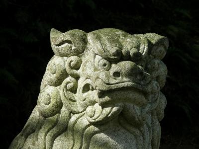 高麗郷を歩く・・・高麗神社から巾着田まで｢カワセミ街道」を歩く