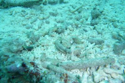 今年2度目の沖縄へ④