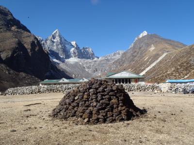２０１１　エベレスト街道ジリから往復歩く　ゴーキョ&カラパタール