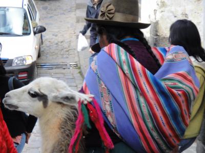 Vol1.ペルーぐるりと1周19日間　バックパッカー１人旅　～クスコ編～