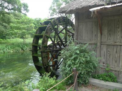 母と旅した安曇野＆白馬②