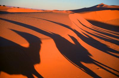 年末年始モロッコ旅③　サハラ砂漠の初日の出