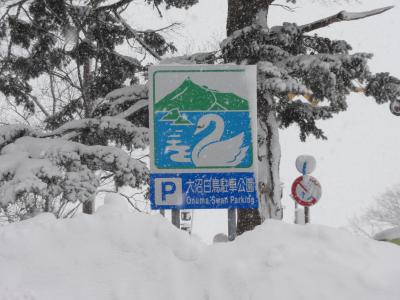 雪と氷を求めて放浪の旅も終盤となり函館へ