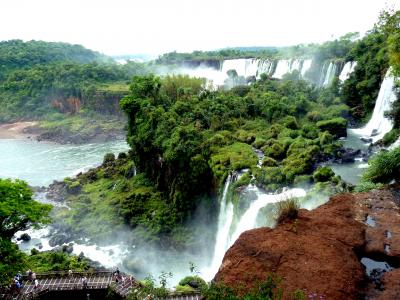 msa340南米周遊旅情３章⑤ジャングルの遊歩道を往くスーペリア・パノラマ in イグアス・アルゼンチン