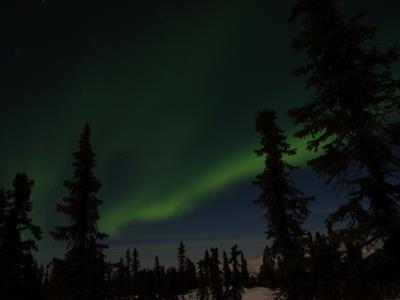 アラスカ　フェアバンクス　オーロラの旅４　チェナ温泉