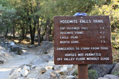 L.A.からAmtrakで行くヨセミテ国立公園(4)　Yosemite Falls