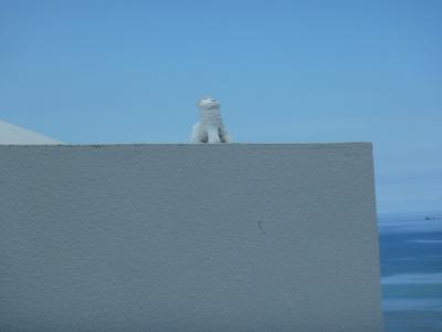 癒しの家族旅行　