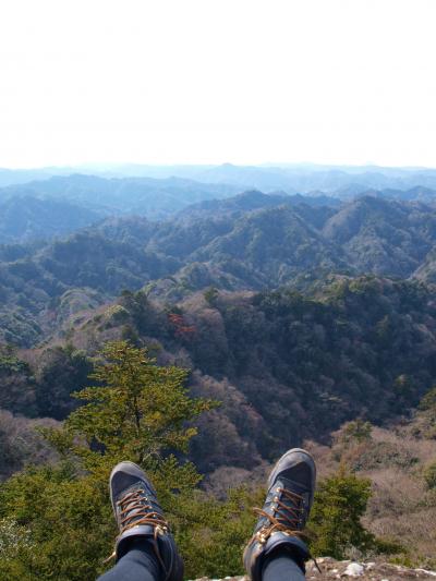 迷いに迷った三郡山・高宕山/千葉