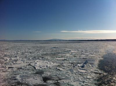 流氷を見に行く