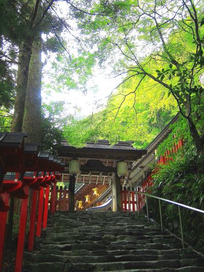 やっぱ京都ってすげ～なぁ！「京都嵐山温泉 絹の湯 花伝抄」さんモニタープラン一人旅【貴船神社とお宿編】