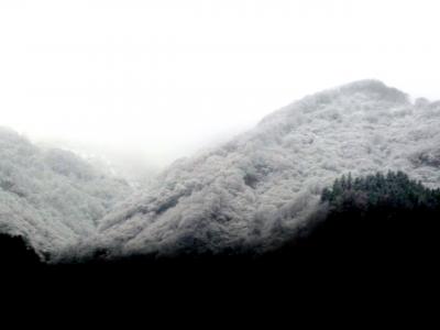 奥の細道を訪ねて第14回01薄化粧の雪景色が迎える越後湯沢～直江津駅の景観