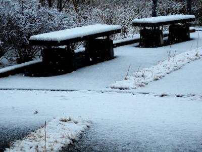 雪が降ってる～！！のに、お仕事へおでかけ・・・(T_T)