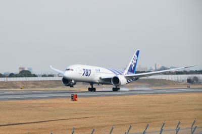 伊丹スカイパークでＢ７８７を見てきました