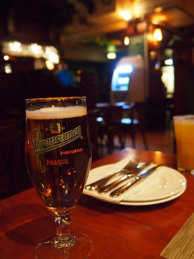 年越し北欧旅行～オーロラ見たいの～【その３】