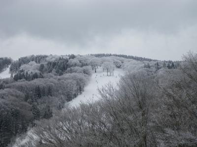 旭テングストーンはほぼ一日雪が降っていた