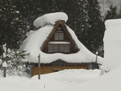 雪の白川郷・五箇山