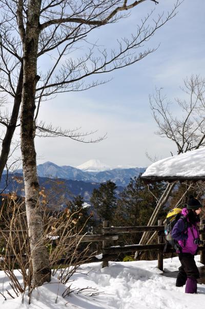 「　またまた　雪の高尾山！　真白き富士をながむ　Part ?」　2012　