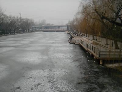 川が凍ってる・・・
