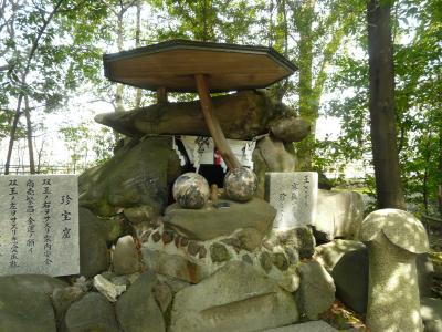 来る3/15に 愛知県小牧の『田縣神社の豊年祭(チンコ祭り)』開催されます。