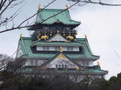第１０５回大阪城天守閣マラソンで１２Ｋｍ完走そして満開の梅