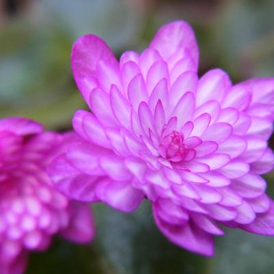 宮の森美術館~百合が原公園2012'3