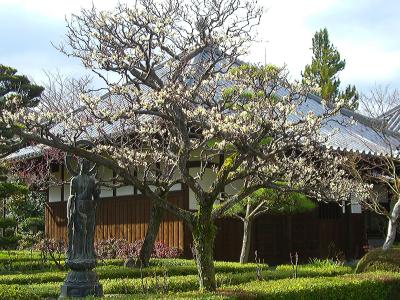 関西花の寺２０番霊場　石光寺 
