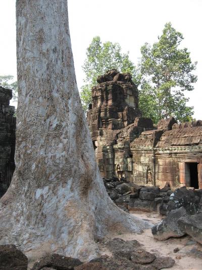 2012冬16　カンボジア(アンコール遺跡 Krol Ko/Banteay Prei...)