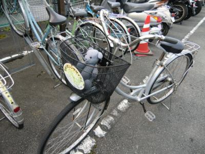 03自転車に乗って三島観光をリベンジする（早春のドーミーめぐりその３）