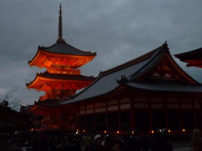 2012　そうよ、京都に行かなかきゃ！2　～東山花灯路(3/10-3/20)　