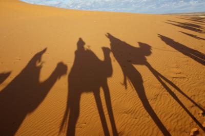 モロッコ　カスバと砂漠とスークと　①サハラ砂漠に一泊