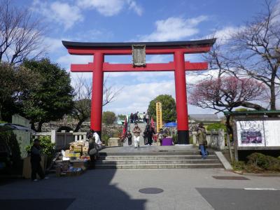 梅は咲いたか、亀戸天神。