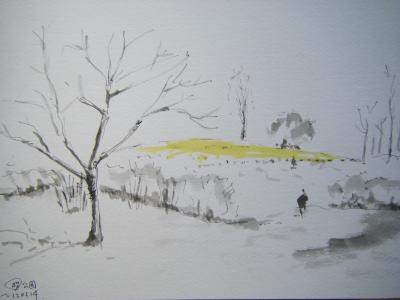 昭和記念公園　菜の花がキレイだった！！