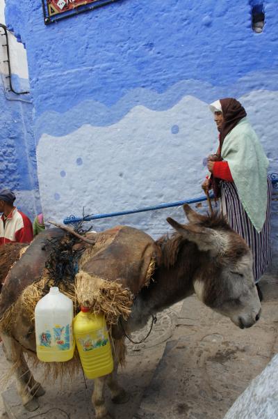ひたすらブルーの世界・おとぎの街~シャウエン・Chaouen~【メディナPart2】