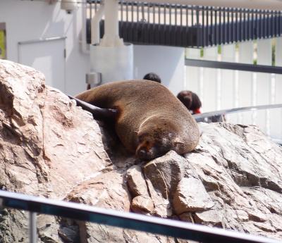 京都水族館