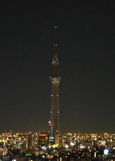 シビックセンター展望ラウンジから見たスカイツリー・新宿高層ビル群と富士山