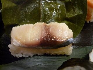 10日の東大寺お水取りで、奈良コミュ初参加！でも、前日に待ちきれずに一人行く雨の奈良･･やっぱり雨女？？