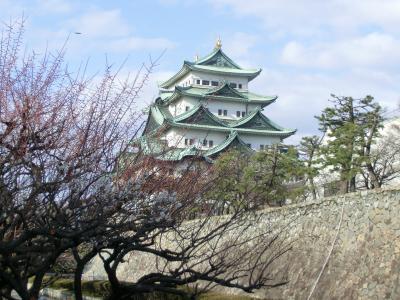 名古屋ウィメンズマラソン2012応援ツアー