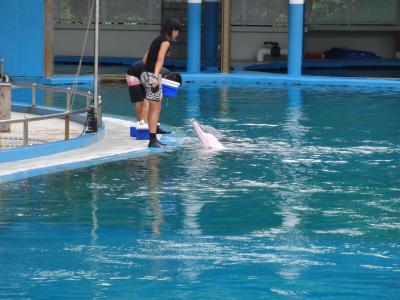 突如おもいたち、アンダーウォーターワールドへ!