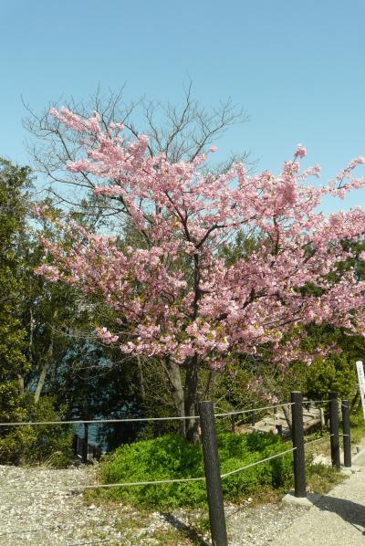 ぷらっと知多半島一周